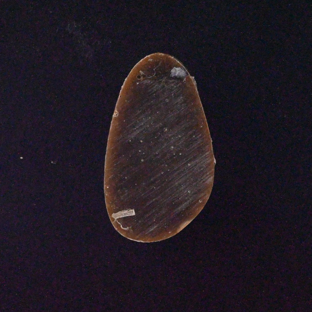 Natural Neyshabur Cabochon SC4759 detail photo 2