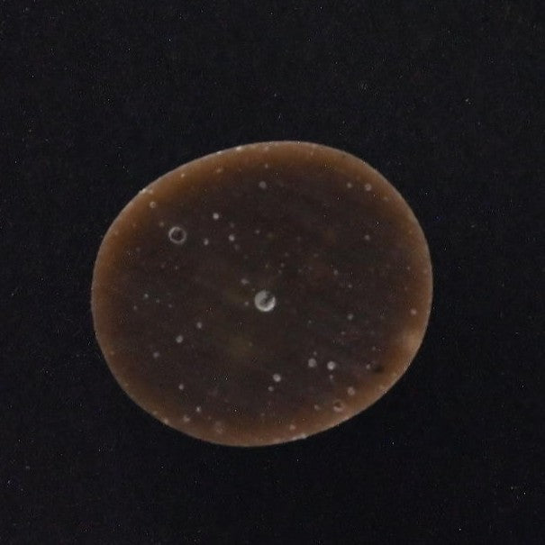Natural Lone Mountain Cabochon HS5659 detail photo 2
