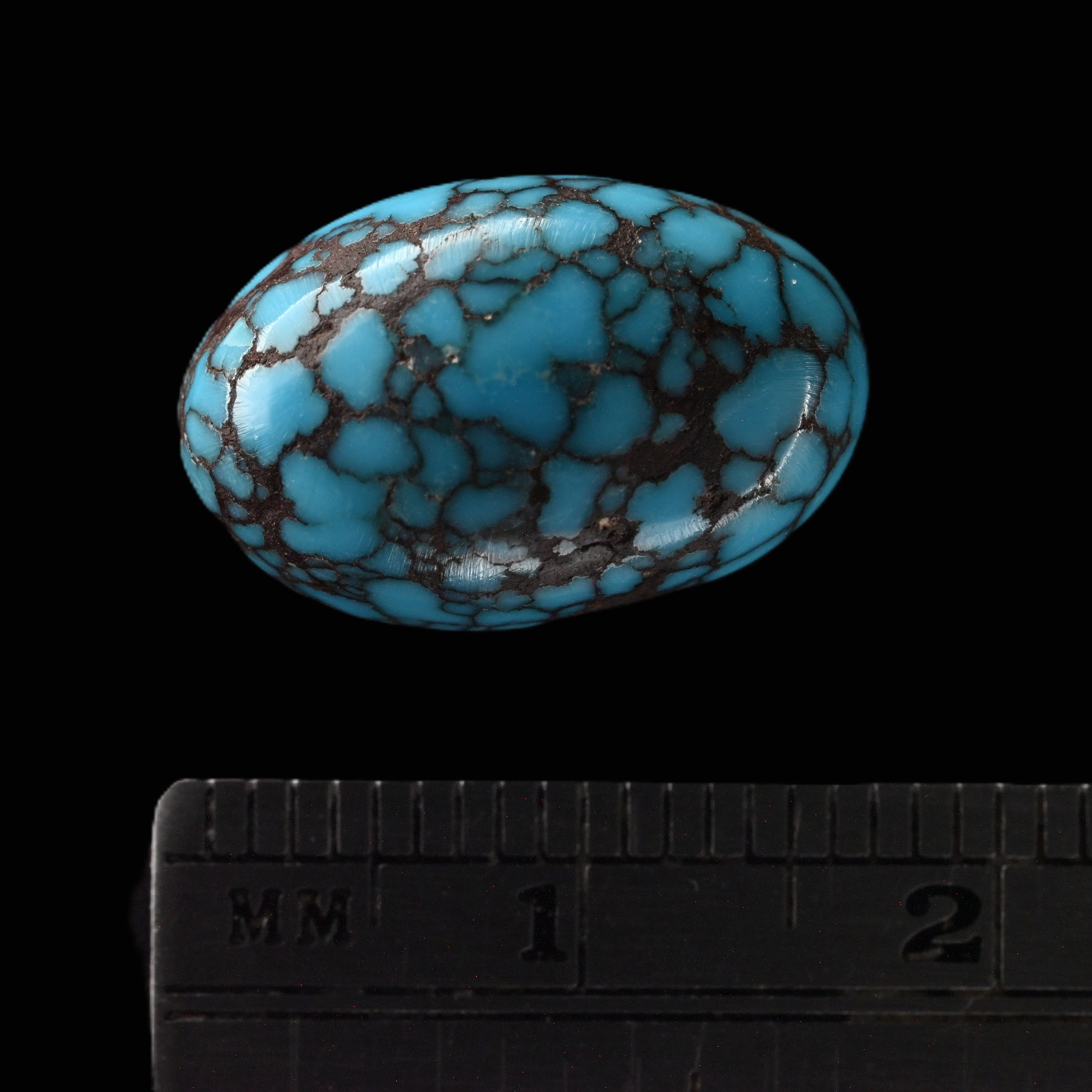 2026 Legacy Reserve Collection Egyptian Cabochon LR2628