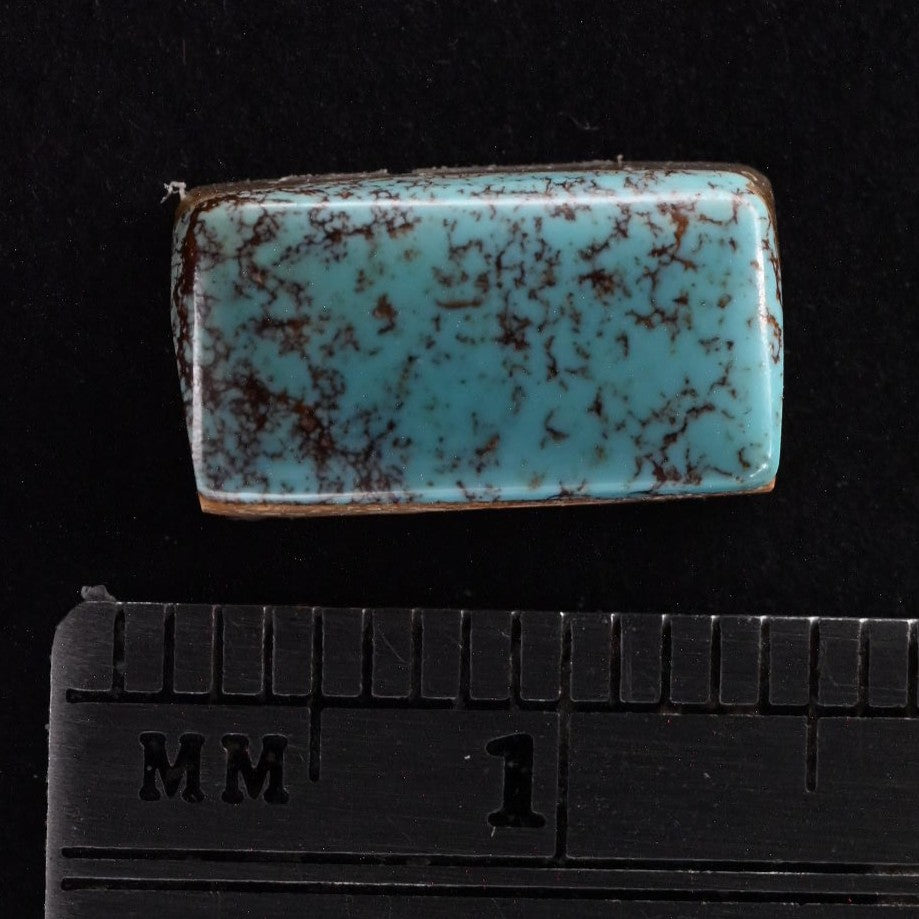 Natural Veritas Cabochon SC4831 product photo