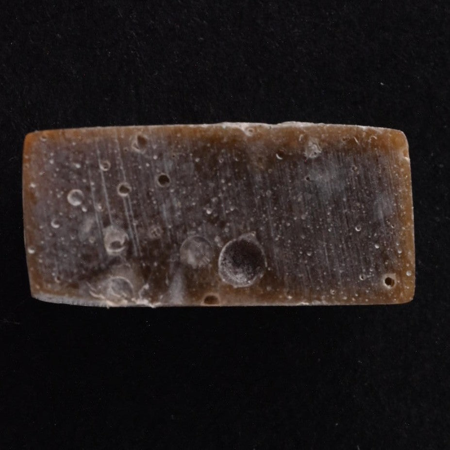 Natural Veritas Cabochon SC4832 detail photo 2