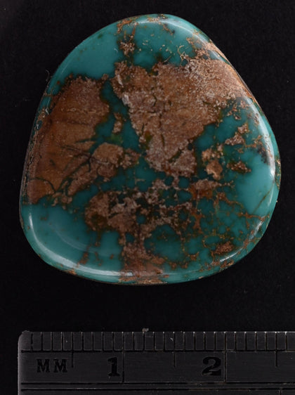 Natural Fox Cabochon SC4836