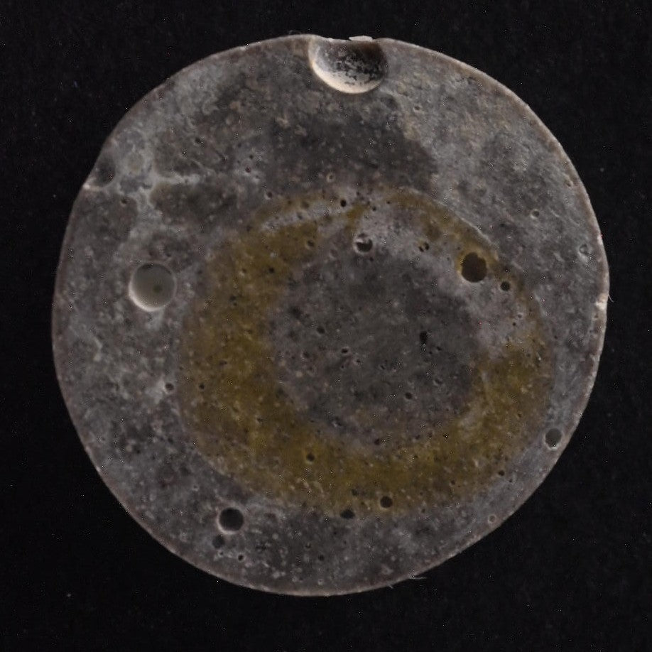 Natural # 8 Cabochon SC4841 detail photo 2